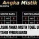 Penjelasan Angka Mistik Togel Untuk Mengetahui Pengeluaran