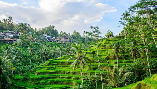 Sejarah Kota Ubud